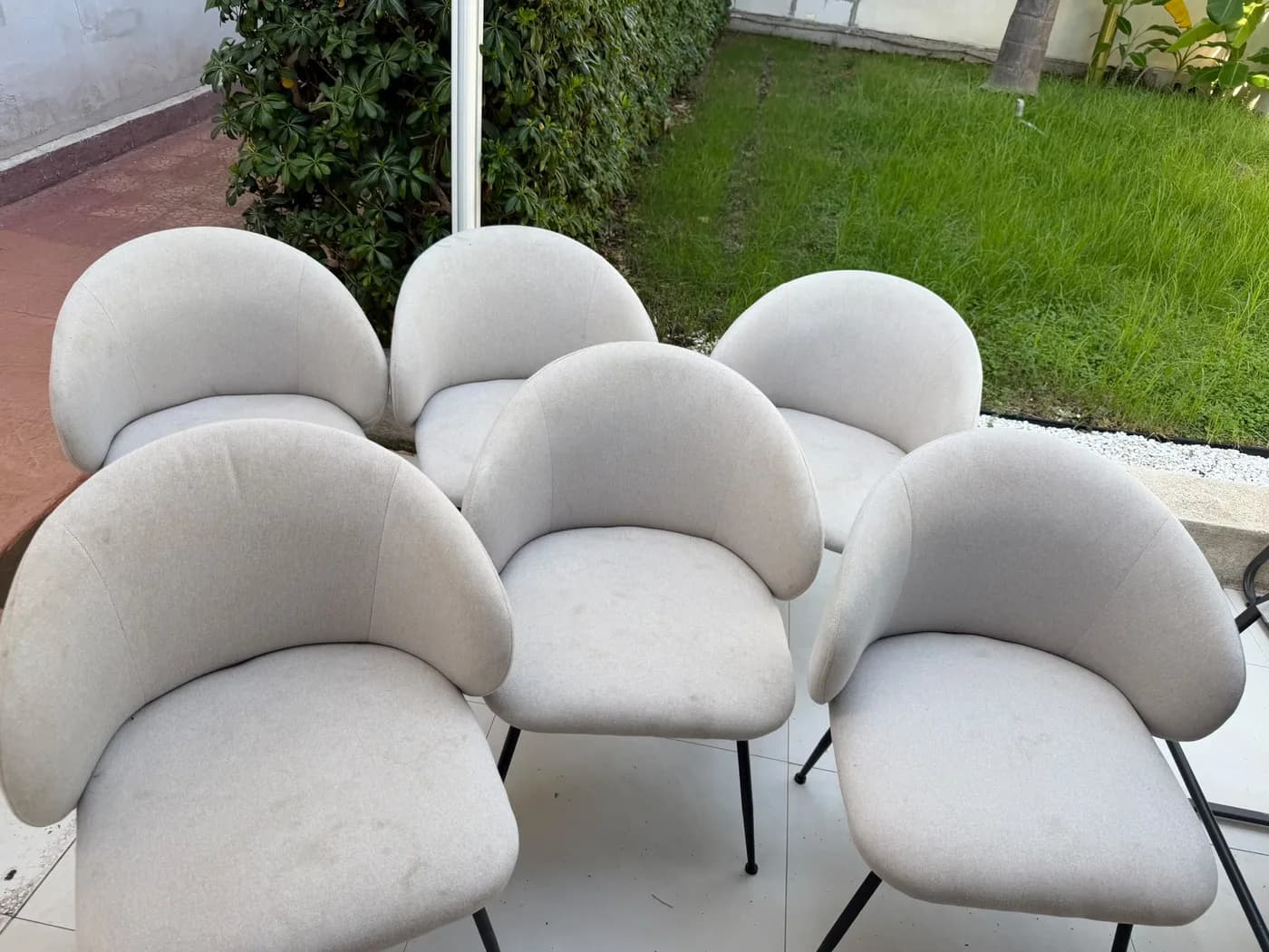 Set di poltroncine imbottite chiare smacchiate e sanificate a vapore Set di poltroncine imbottite chiare smacchiate e sanificate a vapore